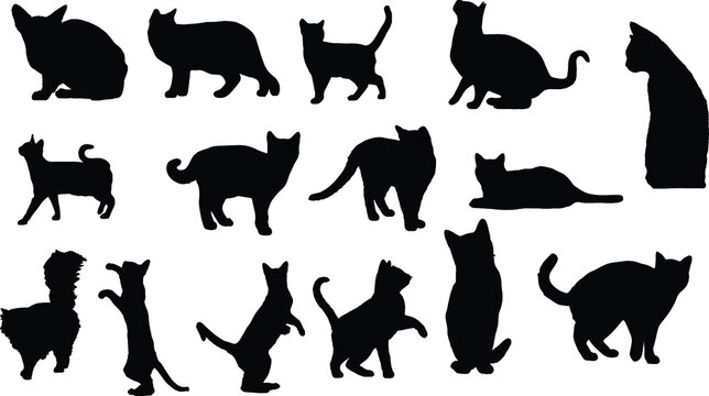 cats silhouettes set for Halloween and other. Black Cat shapes isolated on white background. Stock vector set 02