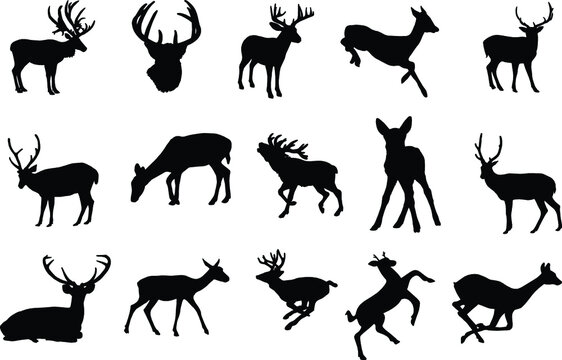 Black silhouettes of different deer and horns, vector wild deer family and baby fawn black and white vector silhouette set 04