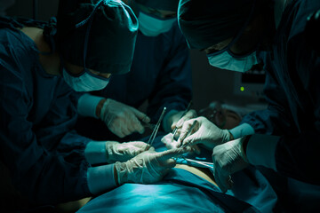 The medical team and nurses  Performing Surgical Operation patients in the operating room . group...