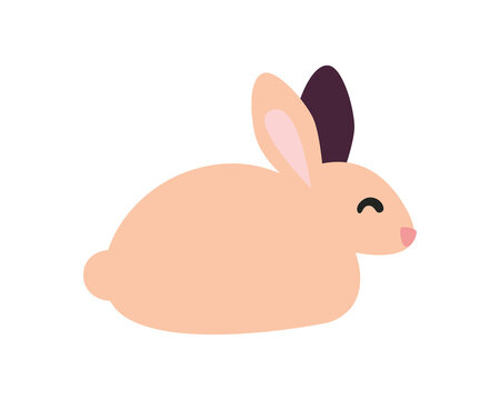 cute pink rabbit sleeping