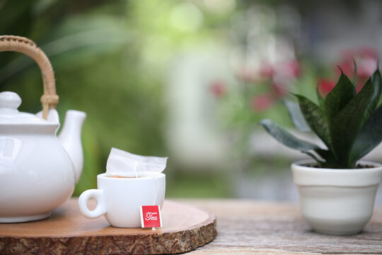 white tea cup and teapot with snake plant