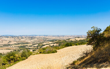 Naklejka premium Beautiful countryside landscape in a day of summer