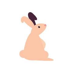 cute pink rabbit seated