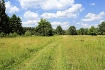 Obraz premium A dirt road with trees nearby