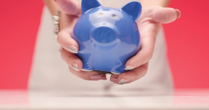 female hands holding and shaking blue piggy bank, putting it on table and recommending in front of red background