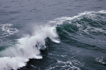 Fototapeta premium Olas de Zumaia, País Vasco.