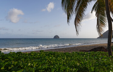 The picturesque Caribbean beach , Martinique island, French West Indies.