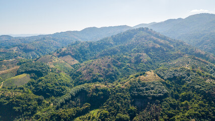 Fototapeta na wymiar Deforestation and landuse planning in highland at Nan province Thailand,