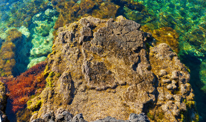 View of colorful sea of Linosa