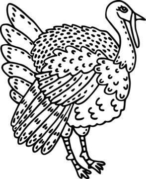Cute cartoon gobbler. Doodle of turkey coloring. Hand-drawn poultry. Vector outline illustration with farm animals. Black sketch with funny ranch bird. Illustration of Thanksgiving day for kids books.