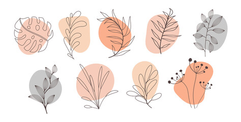 Abstract organic story highlight cover templates isolated on white background. Botanical illustration in neutral earth tone colors. Hipster design elements set