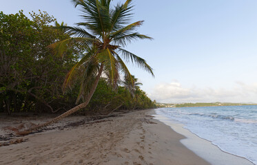 The picturesque Caribbean beach , Martinique island, French West Indies.