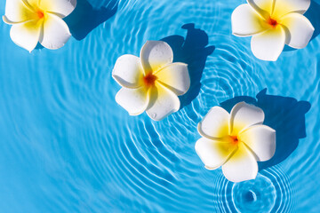 Tropical flowers on a blue water background. Top view, flat lay