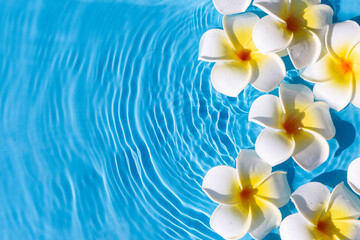Fototapeta na wymiar Tropical flowers on a blue water background. Top view, flat lay