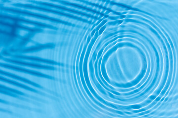 Palm leaf shadow, drop on blue water background. Top view, flat lay