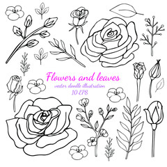 Hand drawn leaves and flowers isolated on white background. Line art floral collection. Vector illustration.