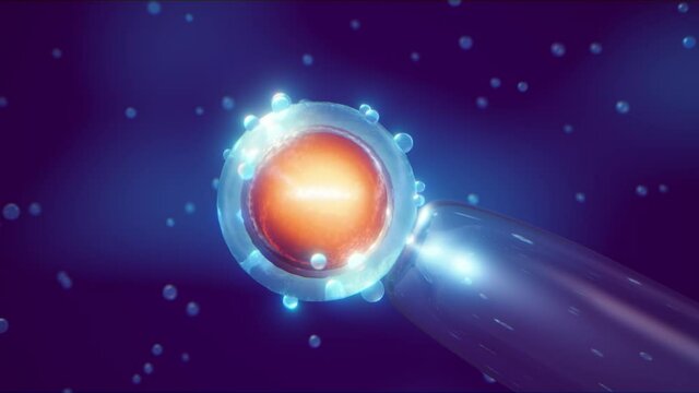 Animation of In vitro fertilisation (IVF). Intracytoplasmic sperm injection. Assisted reproductive technology concept.