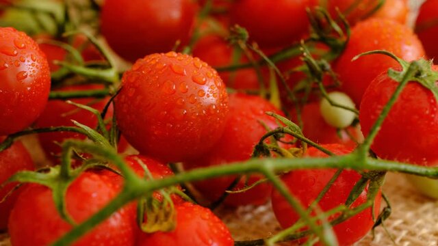 Tomato. Red fresh tomatoes close-up. Healthy vegetables food background.