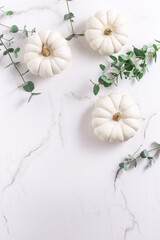 White pumpkins with eucalyptus branches on white background