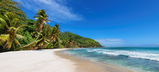 Panoramic view of paradise Sunny beach with palms and turquoise sea. Summer vacation and tropical beach concept.