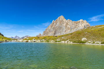 Vacche si dissetano con le fresche acque del Lago della Meja (Valle Maira – Cuneo)