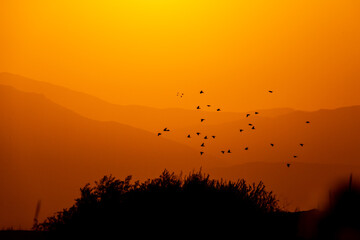 The silhouette of the mountains against the background of the sun. Sunrise or sunset with the silhouette of birds.