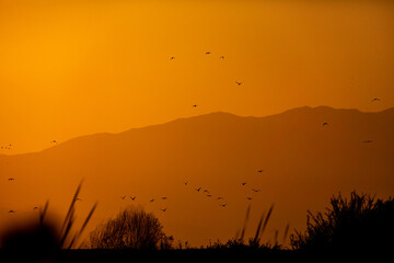 The silhouette of the mountains against the background of the sun. Sunrise or sunset with the silhouette of birds.