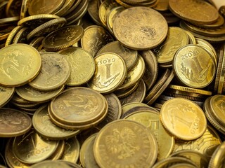 Polish penny coins