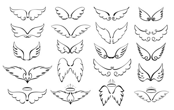 Wings are a big set. Wings and halo. Angel winged glory halo cute cartoon doodles vector illustration isolated on white background