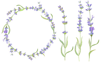 Watercolor romantic illustration of lavender wreath and lavender flowers. Provence, rustic style
