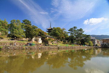 Autumn view (October 2020) with a blu sky of a pond close of the  Kofuku-ji Buddhist temple, with in the background the famous Five-storied pagoda, city of Nara, Japan.