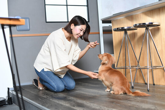 犬のしつけをする若い女性の飼い主