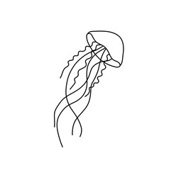Vector isolated jellyfish medusa line drawing. Black line medusa graphic outline sketch. © MariMuz