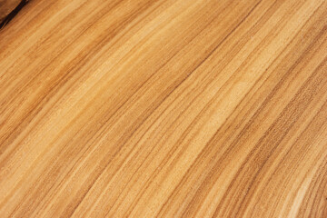 Style wooden slab, saw cut wood treated with varnish close-up on black. Isolate.