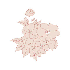 illustration brown beige nude flowers, one line drawing, line art, modern illustration and art, nature and plants minimalist design