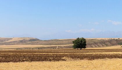 Fototapeta na wymiar Autumn landscape from nature of Azerbaijan. Agricultural field after harvesting cereal