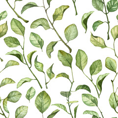 Square seamless pattern with watercolor hand painted green leaves on twigs. Realistic botany art wallpapers for textile design and wrapping paper. Hand drawn aquarelle 