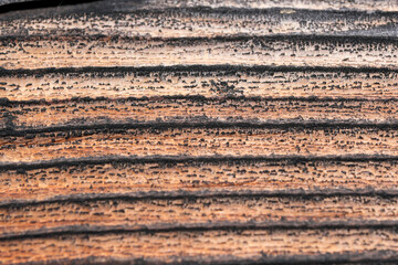 Textured wooden background