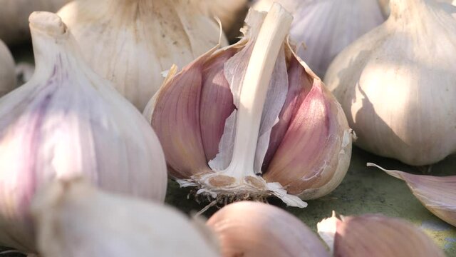 white garlic heads heap vitamin healthy food spice or spicy cooking ing