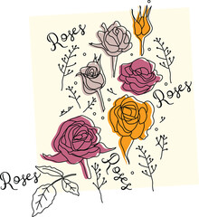 Hand-drawn vector Roses