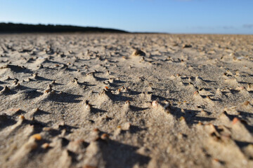 Effect of the wind