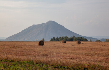 Mowed field and straw bales laid one after the other after harvest against the cloudy sky