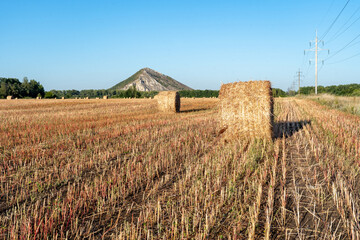 Mowed field and straw bales laid one after the other after harvest against the cloudy sky