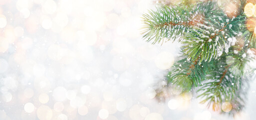 Obraz premium Christmas greeting card with fir tree branches covered by snow
