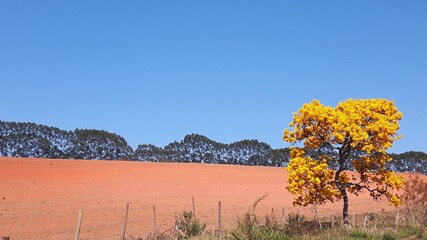 Paisagem