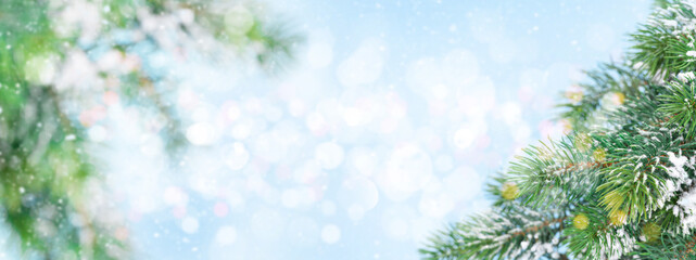 Christmas greeting card with fir tree branches covered by snow