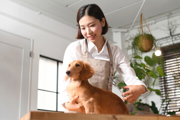犬（ペット）のトリミングやカットをするトリマーの若い女性
