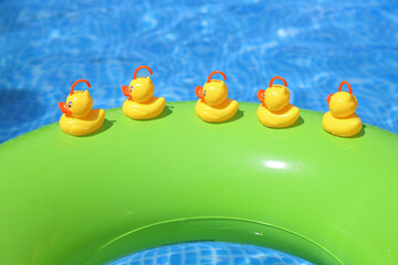 patitos de juguete sobre un flotador verde en la piscina
