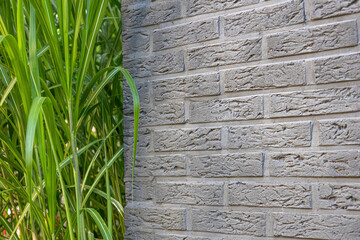 Garagen Mauer im Garten mit grünem Schilff