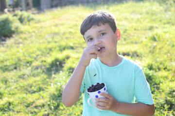 niño feliz con una taza llena de moras comiendo una al atardecer